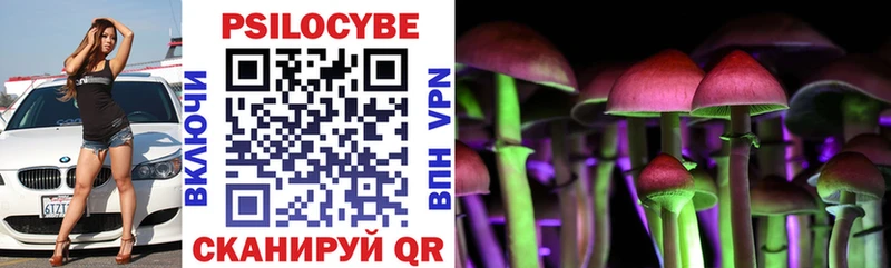 Псилоцибиновые грибы Psilocybe закладка MEGA ССЫЛКА Гай